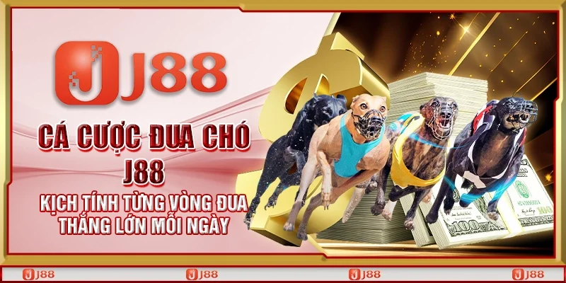 Cá cược đua chó J88 – Kịch tính từng vòng đua thắng lớn mỗi ngày