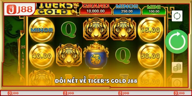 Đôi nét về Tigers Gold J88